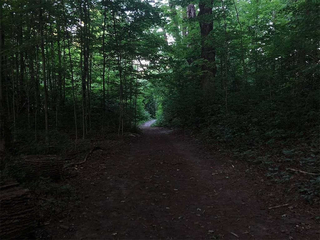 Walking trail